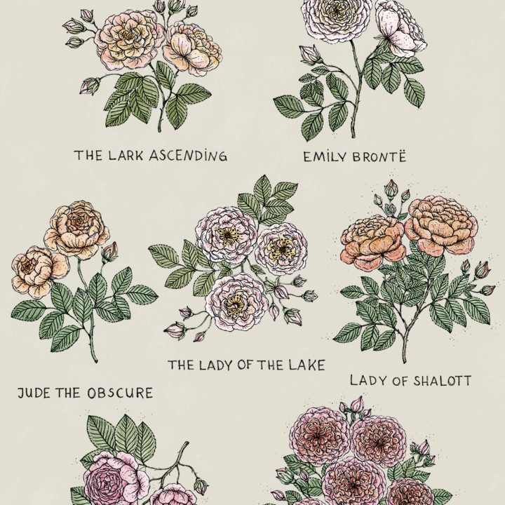 LET IT BLOOM MAGAZIN
